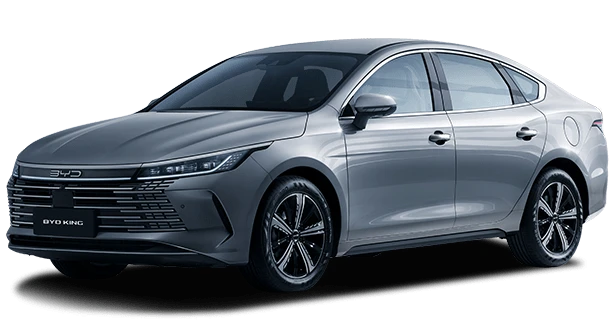BYD King