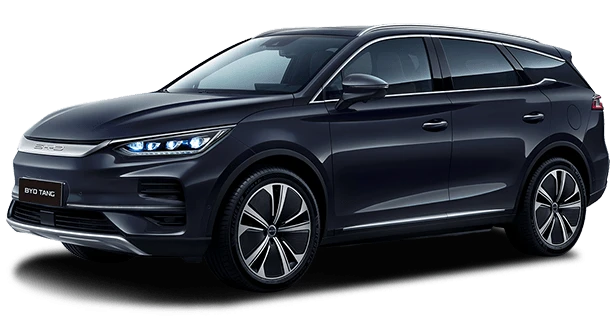 BYD Tan 2025